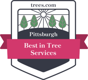 Trees.com Best Tree Service Badge
